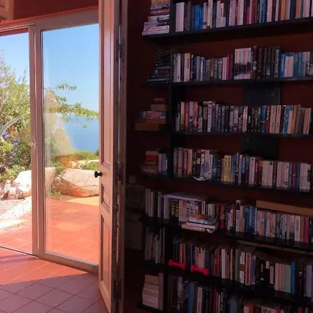 With Swimming Pool And Tennis/basketball Court