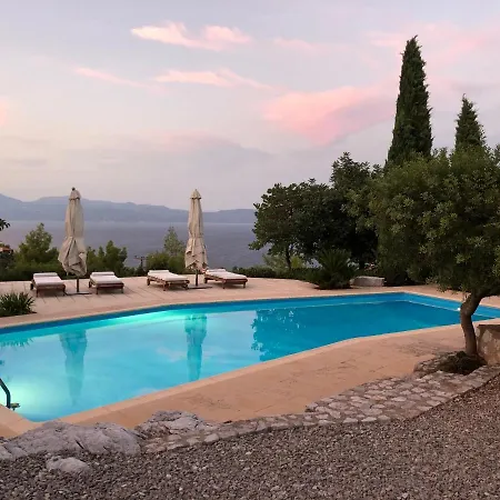 With Swimming Pool And Tennis/basketball Court *