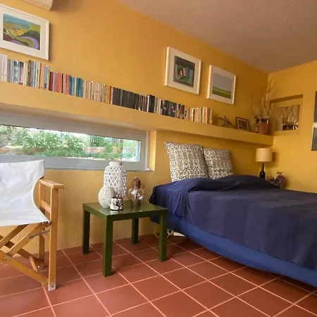 With Swimming Pool And Tennis/basketball Court Ferienhaus