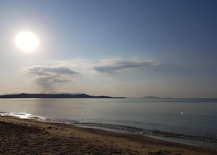 Holiday home With Swimming Pool And Tennis/basketball Court *